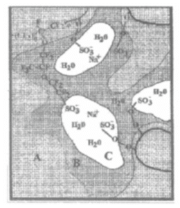 The three-phase microstructure of DuPont Nafion perfluorosulfonic acid resin