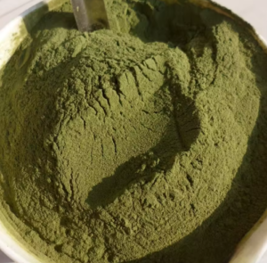 Polyanilin