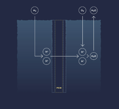 Membrane exchange fuel cells