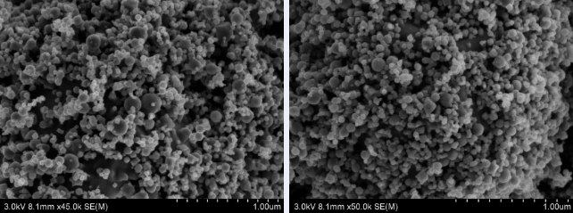 SEM Image of Bismuth Oxide