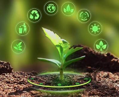 Full environmental biodegradation – quartz-chem Full environmental biodegradation