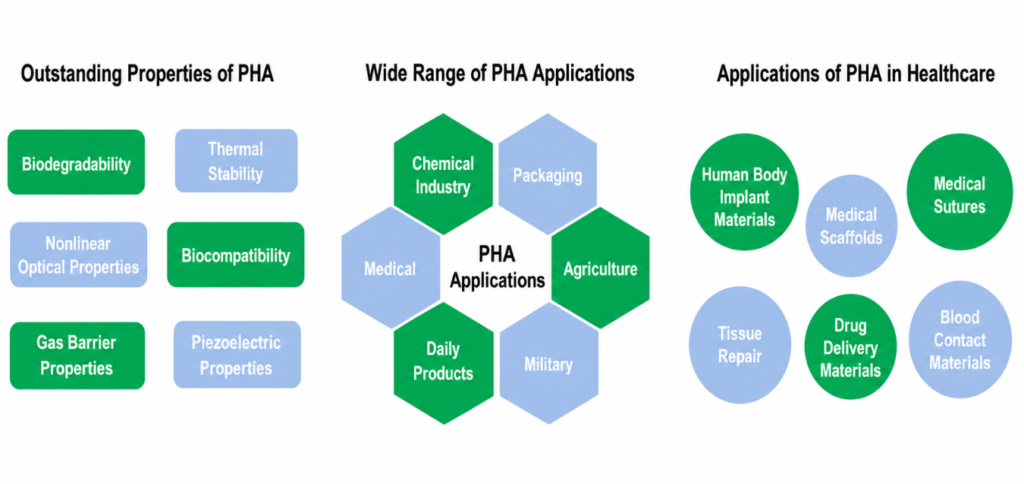 Infographic with three sections: 'Outstanding Properties of PHA' (green and blue pills), 'Wide Range of PHA Applications' (hexagon cluster around 'PHA Applications'), and 'Applications of PHA in Healthcare' (green and blue circular bubbles).