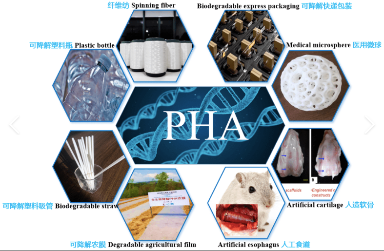 PHA Applications – quartz-chem PHA hub with hexagon tiles showing its uses: spinning fiber, biodegradable packaging, medical microspheres, plastic bottles, biodegradable straws, agricultural film, artificial cartilage and esophagus.