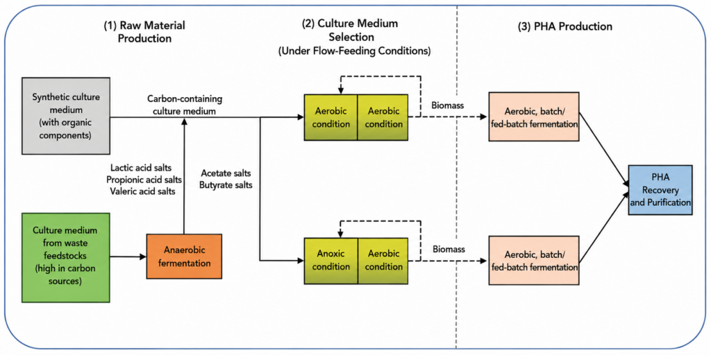 Flowchart of PHA production: raw material, culture medium, anaerobic and aerobic fermentation, biomass outputs, and recovery.