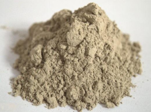 diatomite1